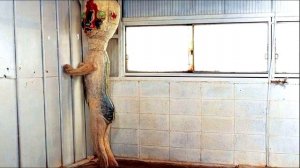 Что такое scp-173