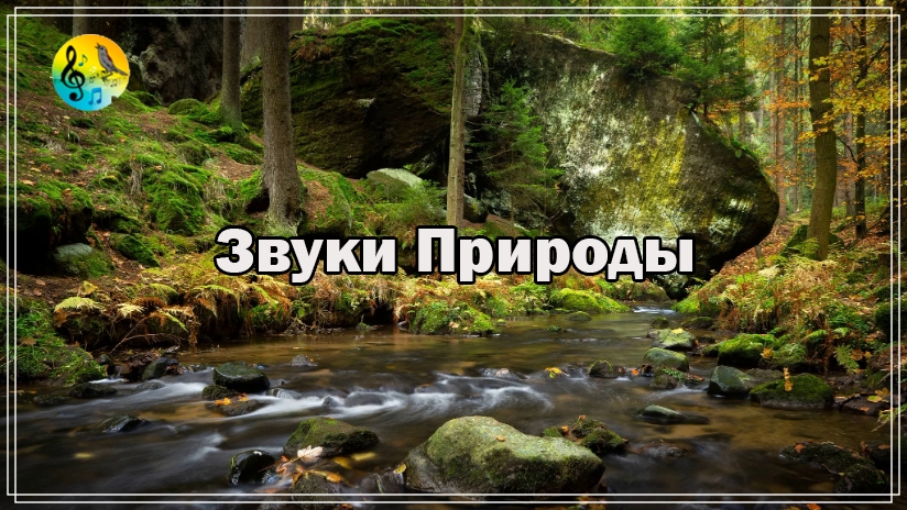 Релакс ? Звуки реки для сна ✦ Звуки природы ✦ Белый шум ручья ? Музыкальная Терапия смотреть онлайн