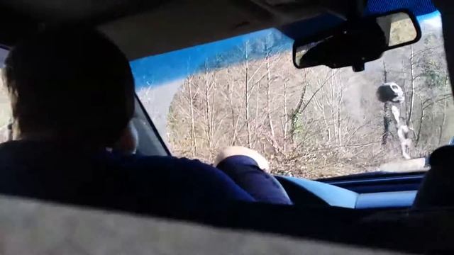 Автостопом по Горной Абхазии - Часть 1 смотреть онлайн