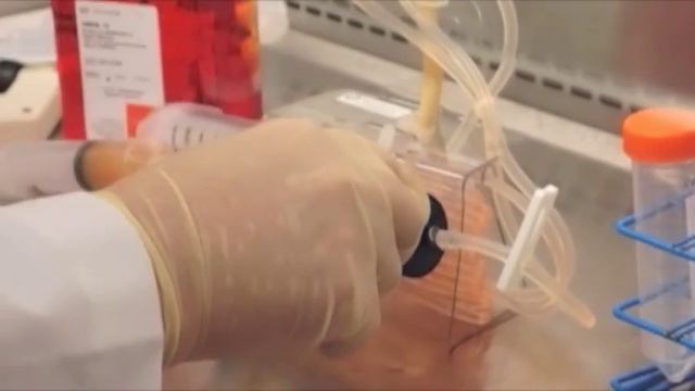 Harvesting 1.5 X 10e9 293 Cells From A FiberCell Systems Hollow Fiber Cartridge