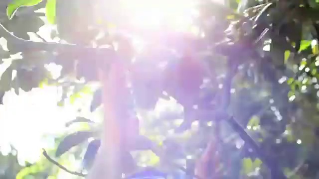 Музыка природы ко дню Земли смотреть онлайн