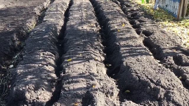 Все в дело,облегчённые грядки под чеснок и лук. смотреть онлайн