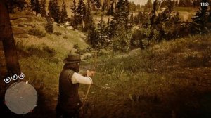 Где найти БУРУНДУКА в RDR2 | Превосходная тушка бурундука