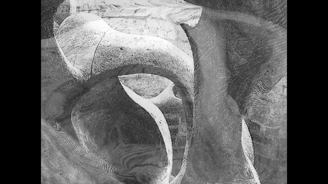 ＢＬＵＭ ＢＬＵＭ ＳＨＵＢ (ｂｉｏｍｏｒｐｈｉｎｇ) смотреть онлайн