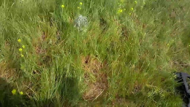 Коп по жаре, на ауле... смотреть онлайн