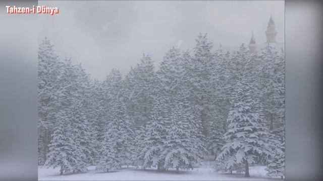 Cinler Tarafından Korunan Define | Cin Hikayeleri | Gerçek Korku Hikayeleri смотреть онлайн