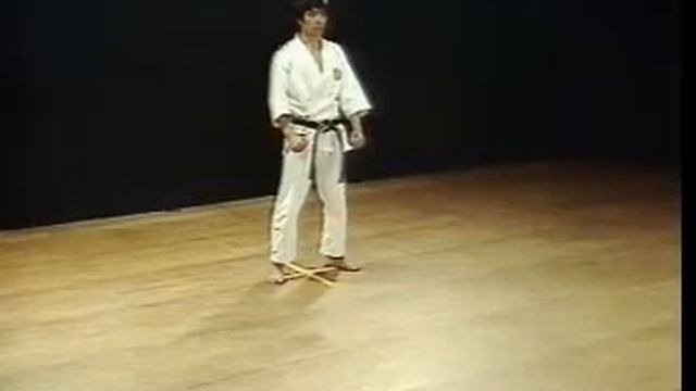 Heian Godan - Shotokan (SKIF) - Hirokazu Kanazawa смотреть онлайн