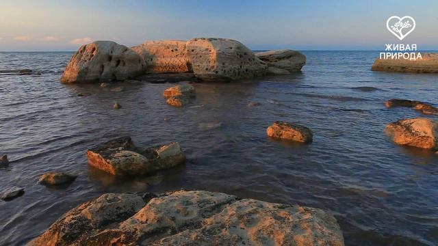 Султан- Апа. Казахстан.