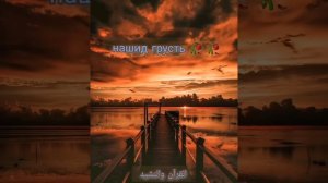 самые спокойные нашиды ? грустные нашиды ??