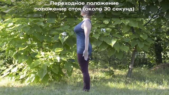 Улитки 4.3 - последовательность 12 фигур смотреть онлайн