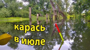 Рыбалка на карася в июле 2022 на поплавок