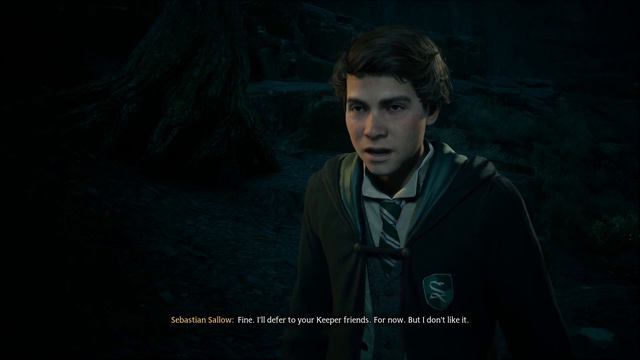 Hogwarts Legacy Deluxe Edition (GamePlay 25) i7-7700, RTX 2070 Super 8GB смотреть онлайн