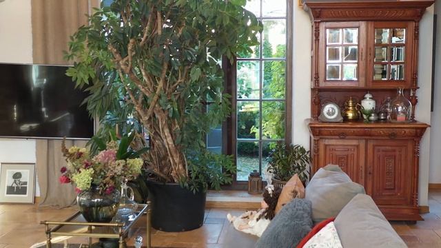 Аэросъемка в Минске частного дома смотреть онлайн