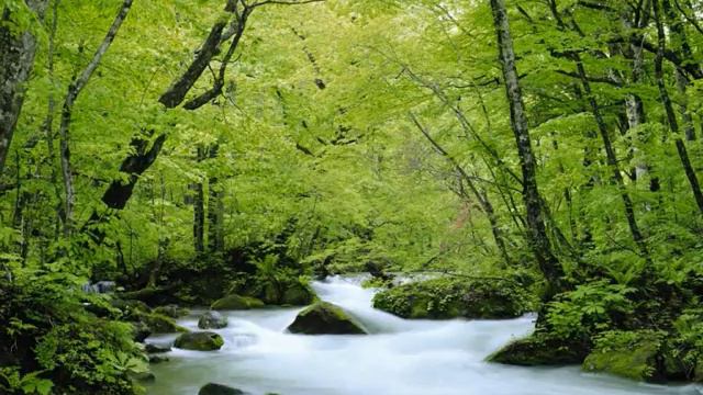 Vivaldi Double Concerto in D minor for Viola d Amore and Lute RV 540 смотреть онлайн