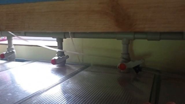 Что происходит на мини разводне Всего понемногу смотреть онлайн