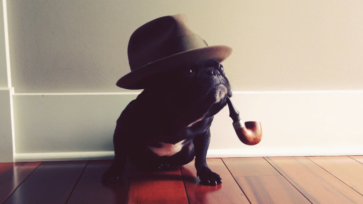 Видео в Instagram смотреть онлайн