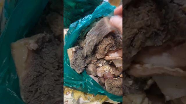 Ваша собака от этого не откажется. Кормление.Закупка Говяжьй рубец. смотреть онлайн