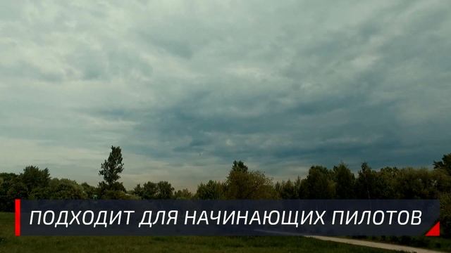Радиоуправляемый самолет Pilotage Dolphin 600
