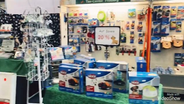 А мы на выставку собак🐕🦺Товары для собак /Ищу лежанку для Барни/Всё отлично🙋♀️Olga Kirchgessner смотреть онлайн