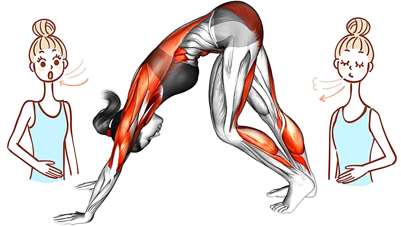 Делайте эти Растяжки чтобы Укрепить Вашу Иммунную Систему