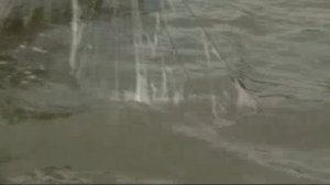 Охота на браконьеров в Пензенской области в рамках акции «Всероссийский день без сетей»