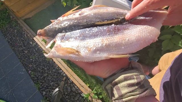 Научные Эксперименты