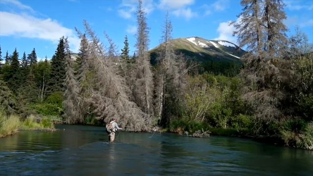 Dude, Let's Go To Alaska Vol 1 - Dolly Varden and Rainbow Trout in Quartz Creek смотреть онлайн