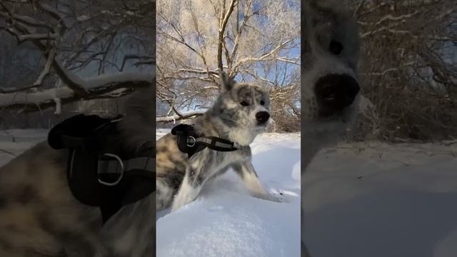 Зимняя сказка смотреть онлайн