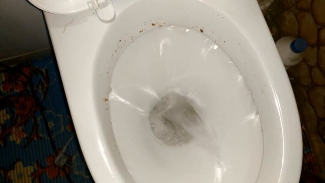 Дом, кухня и ванна: советы по уборке, ремонту и уходу