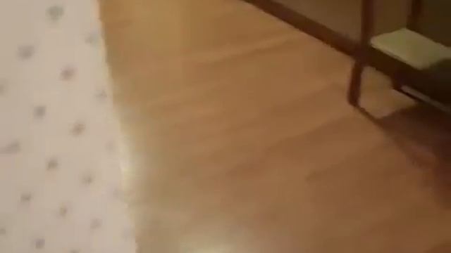 доберман из за угла смотреть онлайн