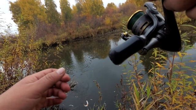 С Микроджигом поздней осенью по микроречке смотреть онлайн