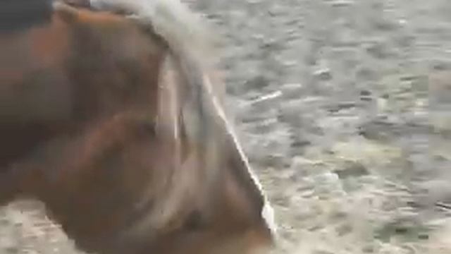 2 марта. Рута смотреть онлайн