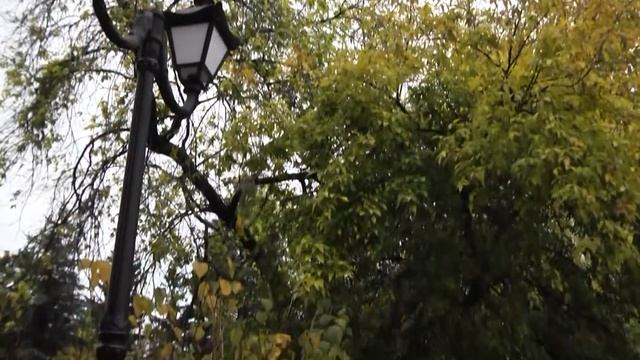 Розовая свадьба.Прогулка. смотреть онлайн