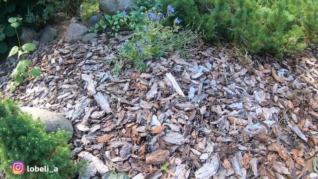 Не_скучный сад в Питере: добро пожаловать смотреть онлайн