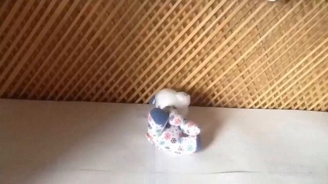The Adventures Of Chubby Puppy! Ep.4-Chubby Puppy Tries To Dance?! смотреть онлайн