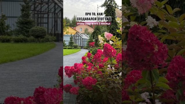 СОЗДАЕМ САДЫ С НУЛЯ ПОД КЛЮЧ В ПОДМОСКОВЬЕ. САД С ВАШИМ ХАРАКТЕРОМ. ? ?+ 7 499 755 78 23 смотреть онлайн