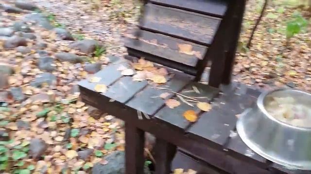 Ли Сяо / Alice the Fox Лиса Алиса (Место, куда собаки не могут пробраться) смотреть онлайн