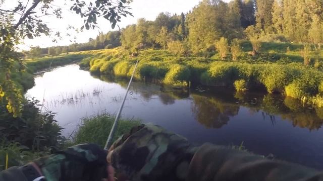 Ловля ГОЛАВЛЯ на МАЛОЙ РЕКЕ В ПОДМОСКОВЬЕ! Рыбалка на спиннинг летом! Голавль на таракана!