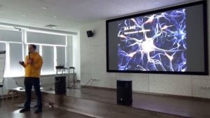 Игра Го и нейропластичность