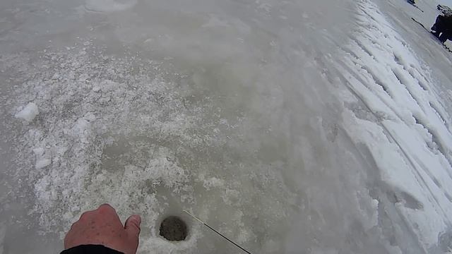 ICE-FISHING. Делаем и ловим на безмотылку - БЕЗ КИВКА! смотреть онлайн