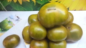 ТОМАТ ЛЯГУШКА-ЦАРЕВНА - ЗЕЛЕНОЕ ЧУДО НА ЛЮБИТЕЛЯ. Ольга Чернова.