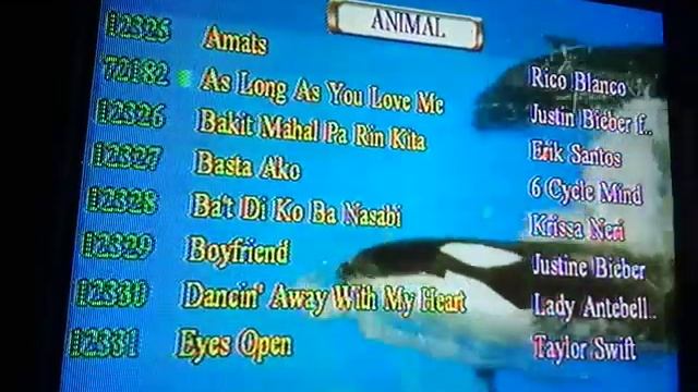 MKOD Karaoke Player Bgv смотреть онлайн