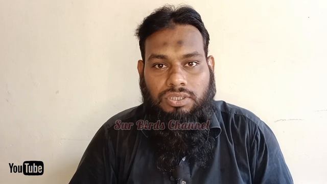 Lalukhet Bird Market Latest Jaal Rate 5 Nov 2023 l Birds Market Karachi l V No 164 Sur Birds Channe смотреть онлайн