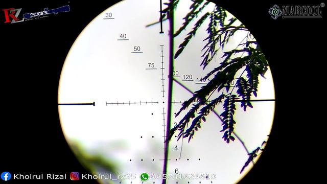 Teleskop Marcool Evolver 6-24x50 Ffp Ir ( Tes & Review )