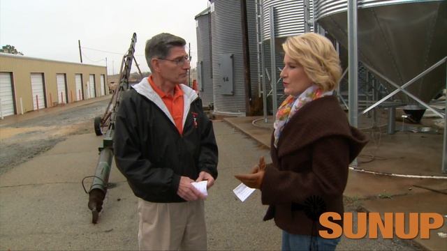 Market Monitor (12/20/14) смотреть онлайн