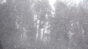 Находки в Антарктиде  | Тайны Антарктиды | Учёные Обнаружили в Антарктиде