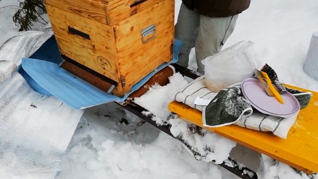 Подкормка пчел зимой 2021г