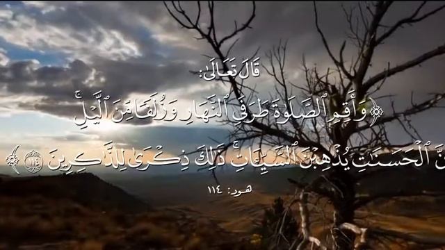 Красивое чтение Корана Мансура ас - Салими تلاوة القرآن الكريم بصوت منصور السالمي смотреть онлайн