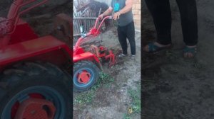 Запахиваем навоз ,под посев пшеницы,мотоблоки Мото Сич с Плугом.