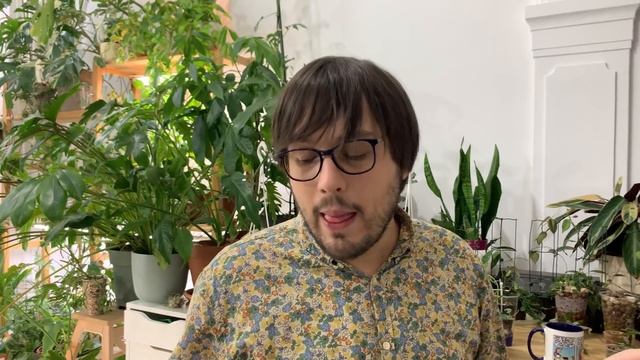 My Collection Of Hoyas With Small Leaves | 25 Small Leaved Hoyas